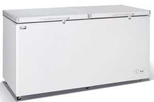 RAMTONS RF 229 460 L Chest Freezer External Condenser 2 Door White for sale and order at Jumia