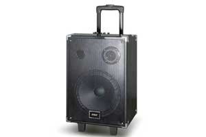 STAREAST SE 10A Out Door Multimedia Speaker With Li Battery Wireless Mic Bluetooth and FM Radio