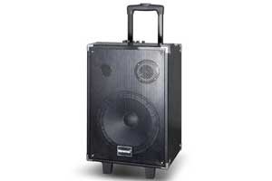 TAGWOOD MP-10A-Out-Door-Multimedia-Speaker-With-Li-Battery,-Wireless-Mic,-Bluetooth-and-FM-Radio